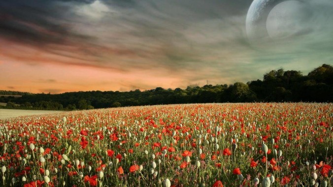 小朋友到底应不应该购买SWitch?